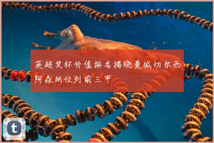 英超奖杯价值排名揭晓曼城切尔西阿森纳位列前三甲