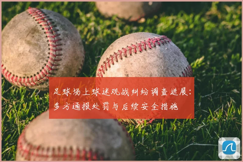 足球场上球迷观战纠纷调查进展：多方通报处罚与后续安全措施