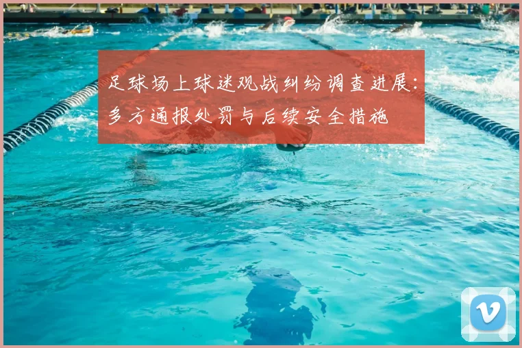 足球场上球迷观战纠纷调查进展：多方通报处罚与后续安全措施