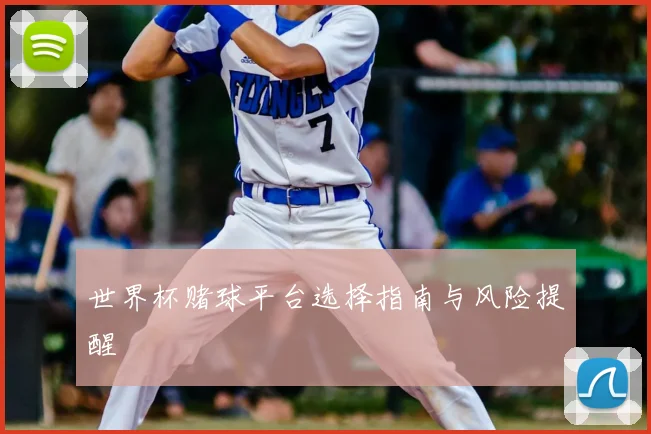 世界杯赌球平台选择指南与风险提醒