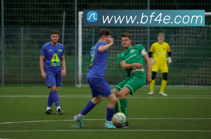 leyu乐鱼官方在线登录服务体系